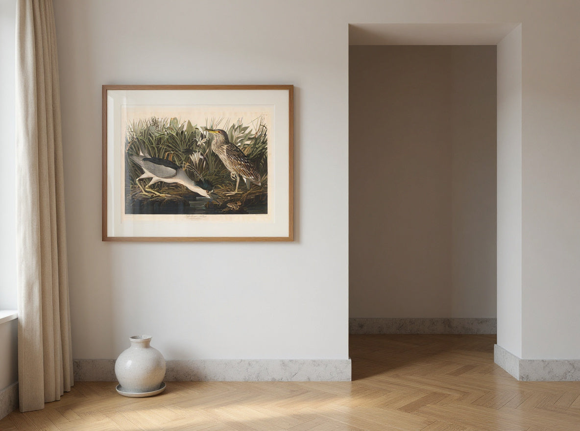 Night Heron or Qua bird — in a room