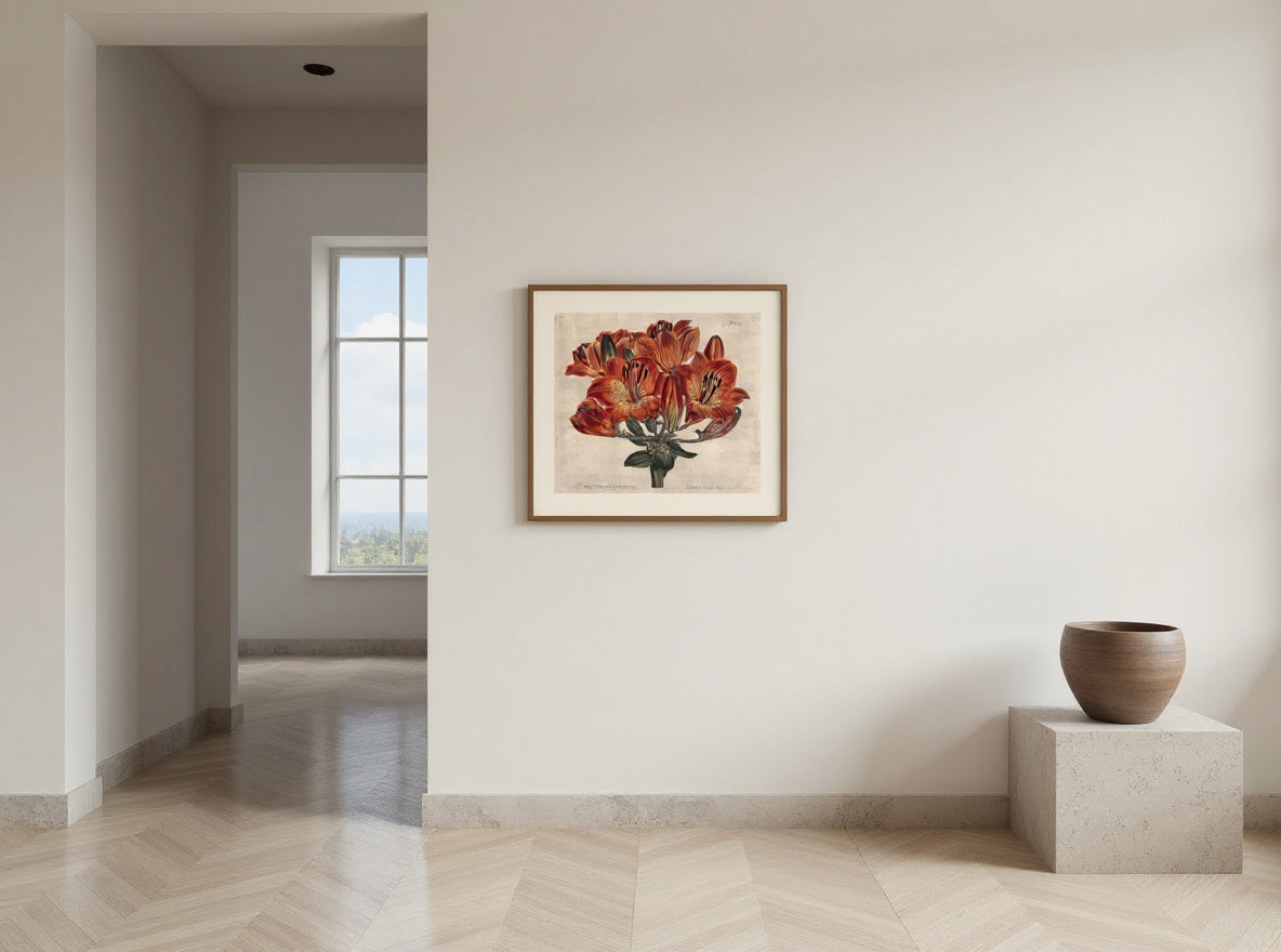 Orange Lily Constellation — in a room