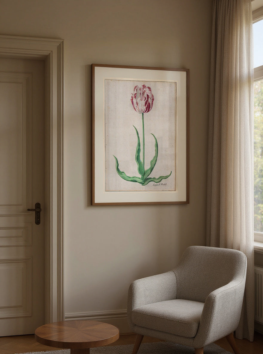 Study of a Tulip (Ammirael Winckel) — in a room