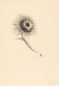 Cul-de-Lampe