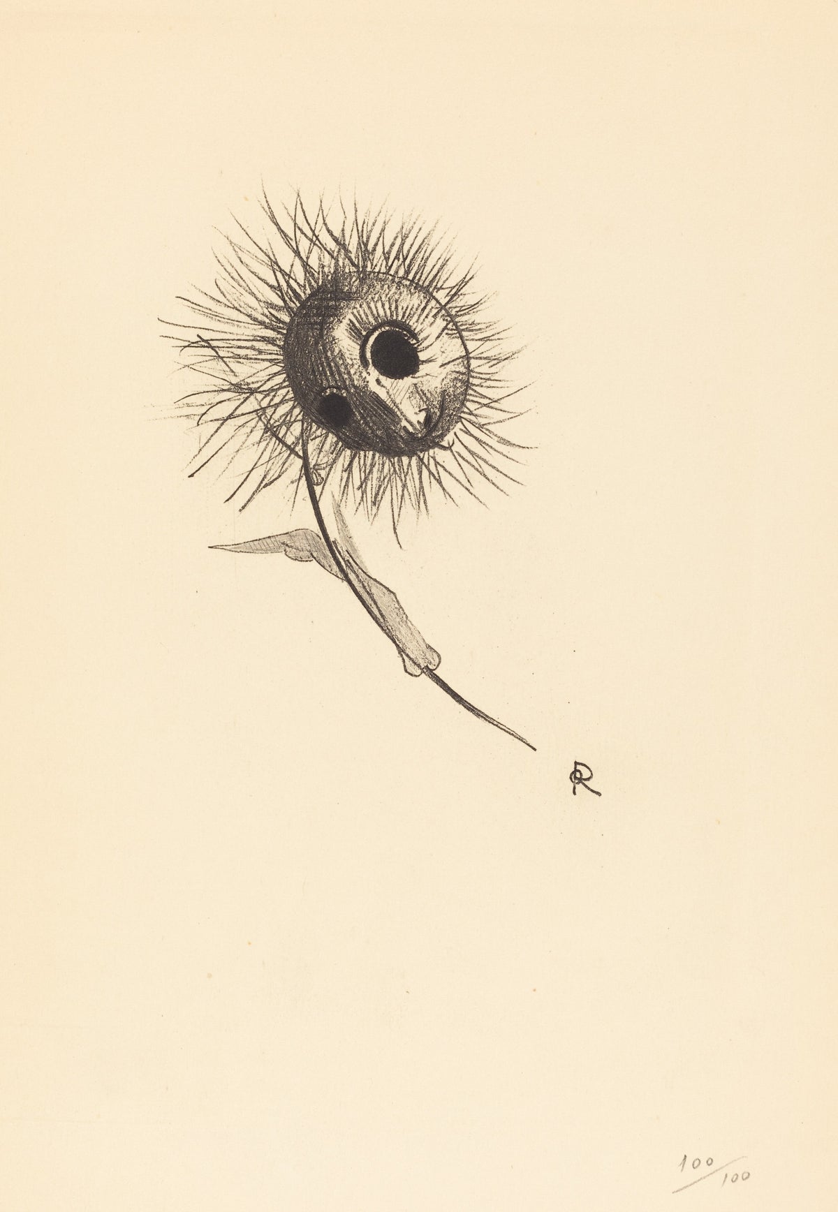 Cul-de-Lampe