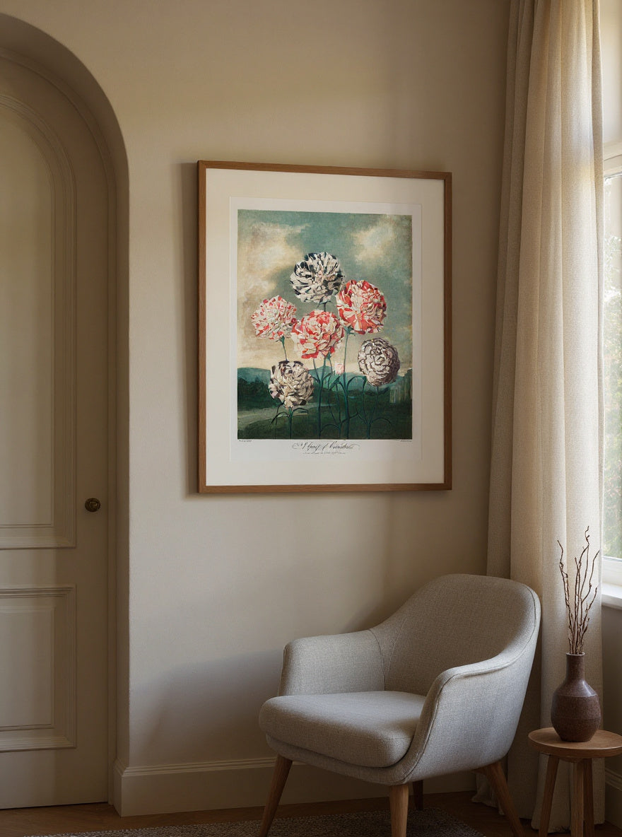 A Group of Carnations — in a room