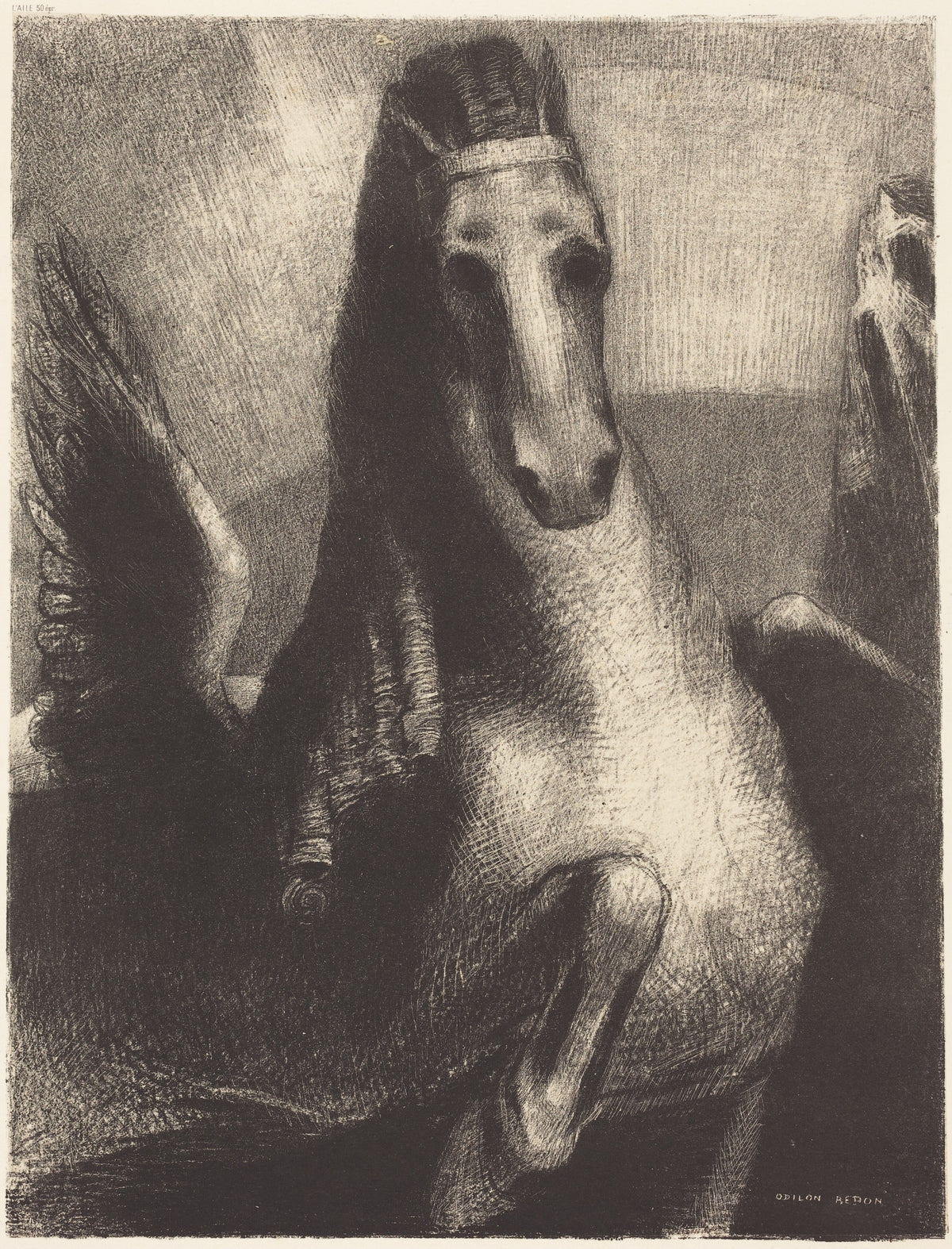 L'Aile (The Wing)