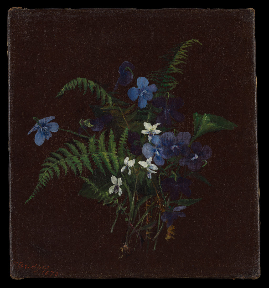 Blue Flowers in the Dark