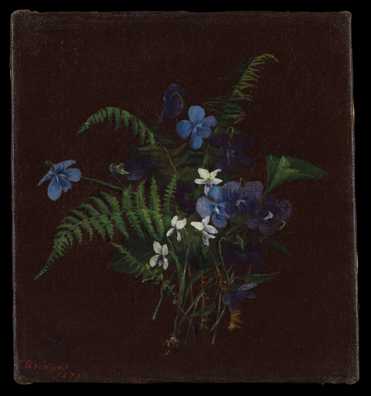 Blue Flowers in the Dark
