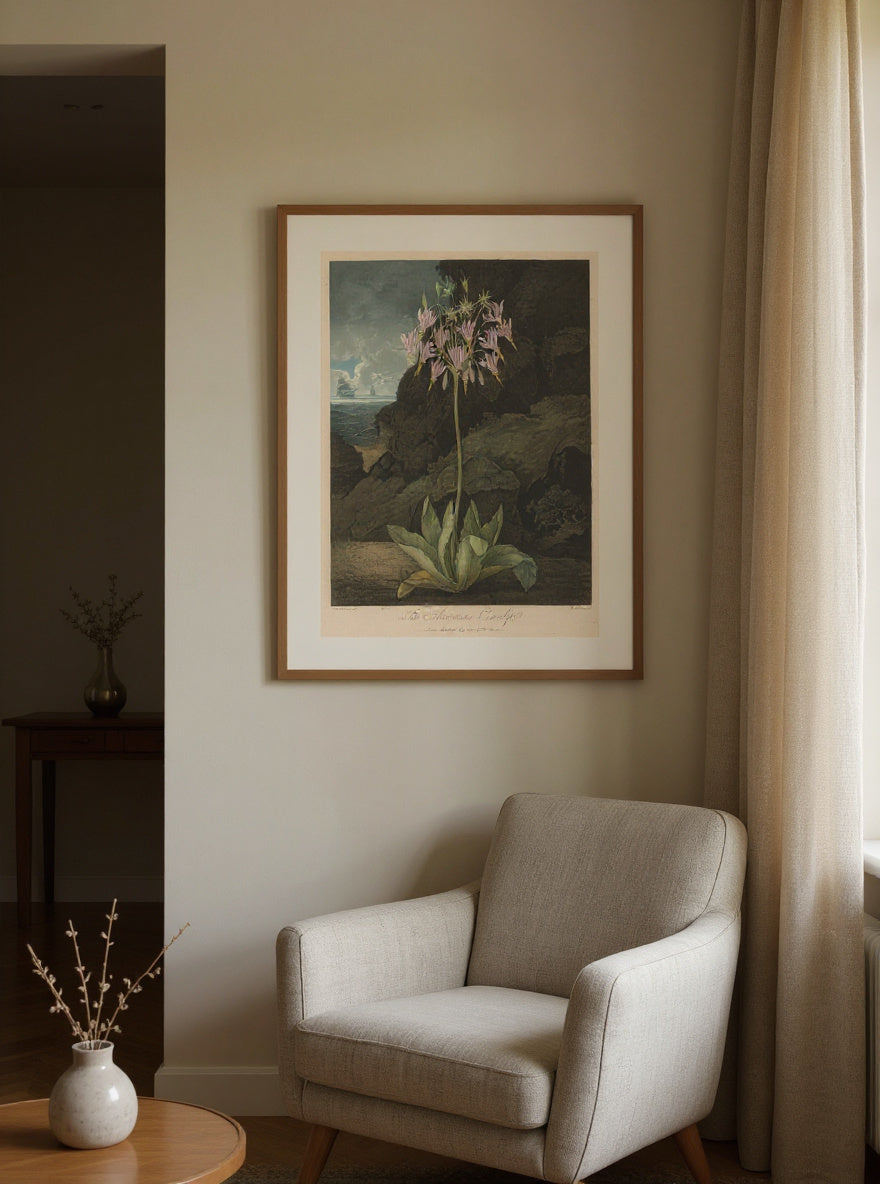 The American Cowslip — in a room