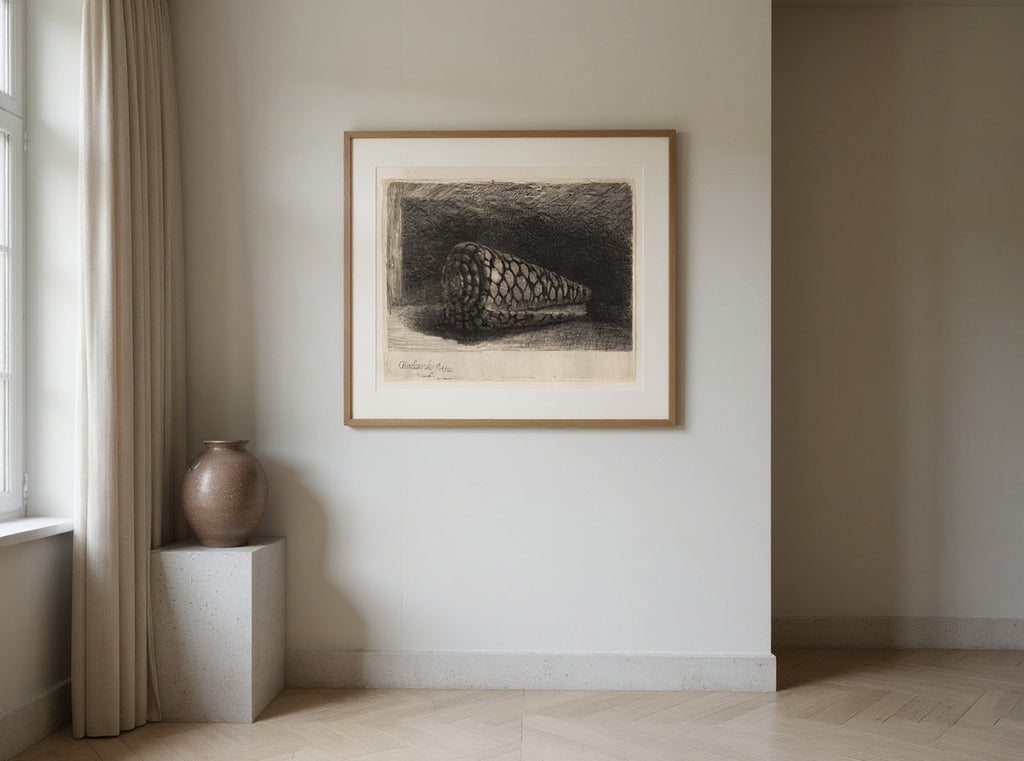 The Shell — in a room