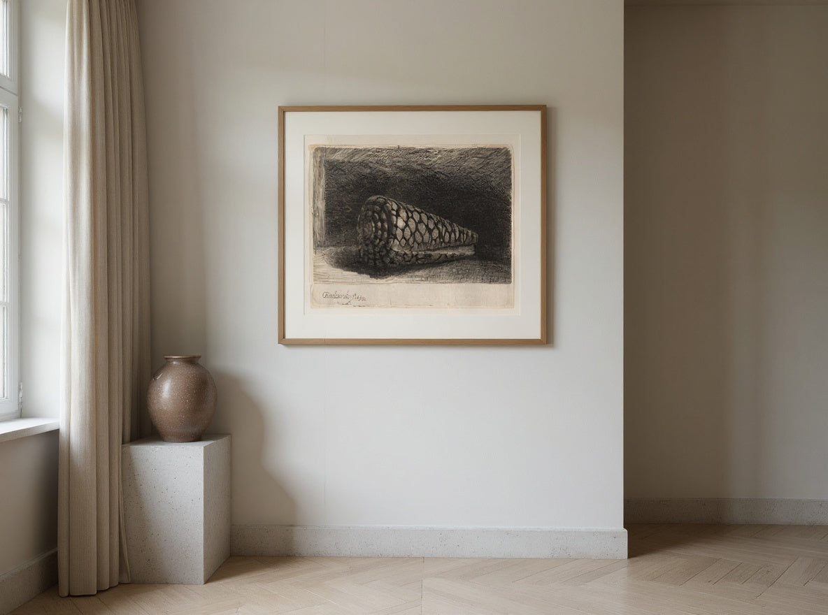 The Shell — in a room