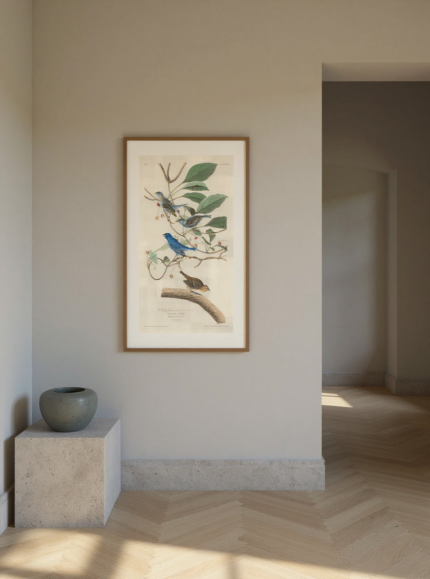 Indigo Bird — in a room