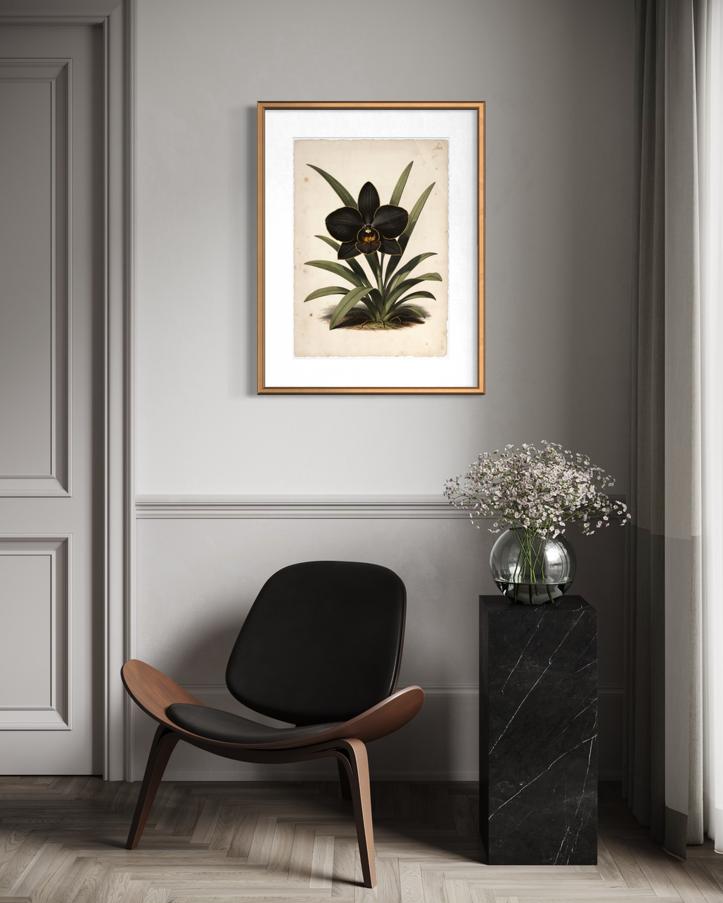 Eclipse Orchid