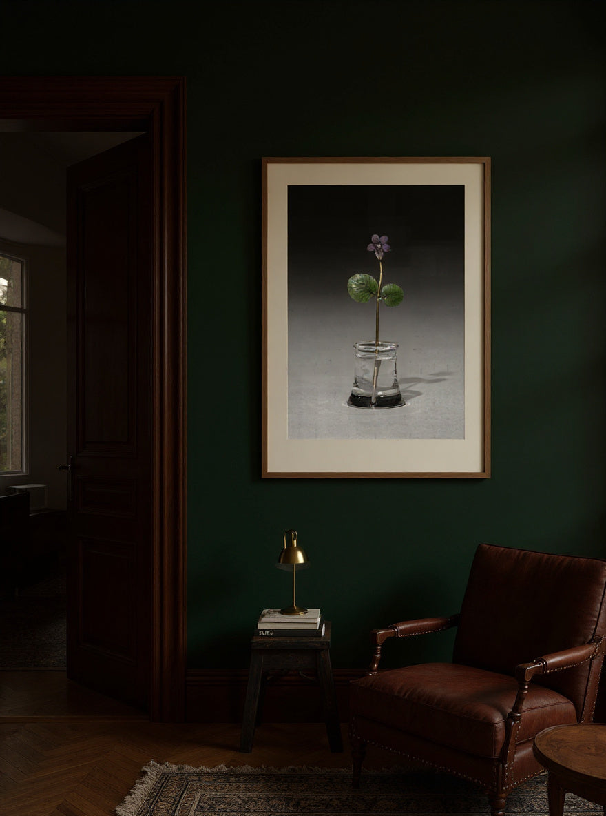 Flower Study of a Violet — in a room