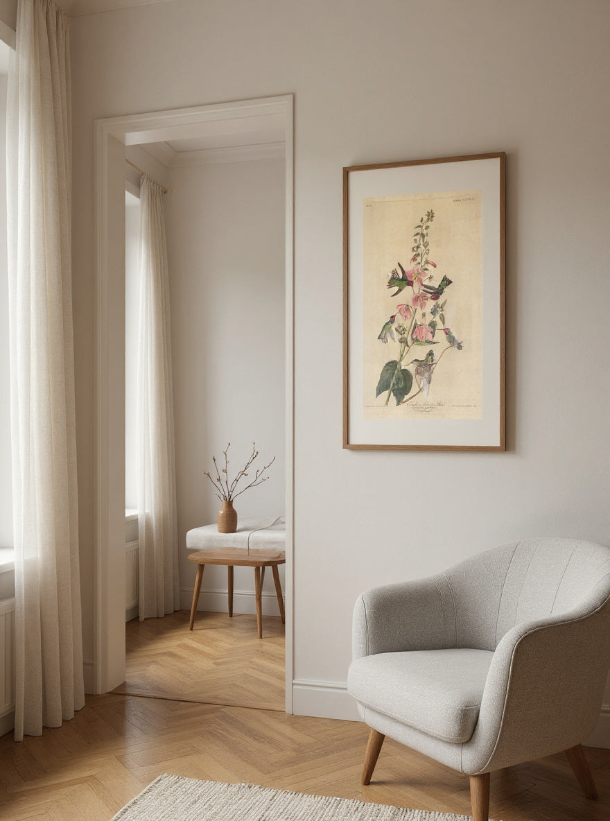 Columbian Humming Bird — in a room