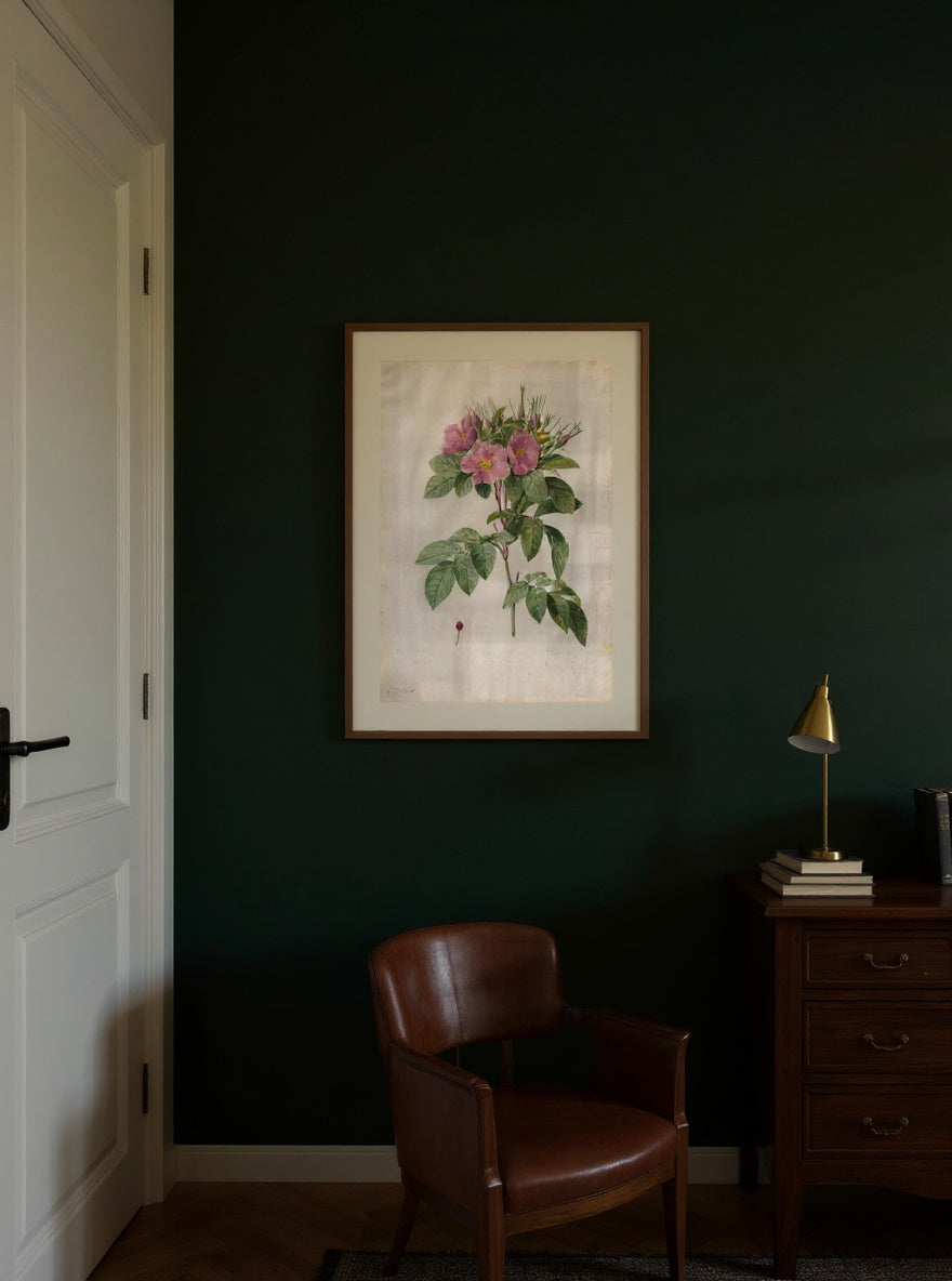 Pasture Rose (Rosa Carolina Corymbosa) — in a room