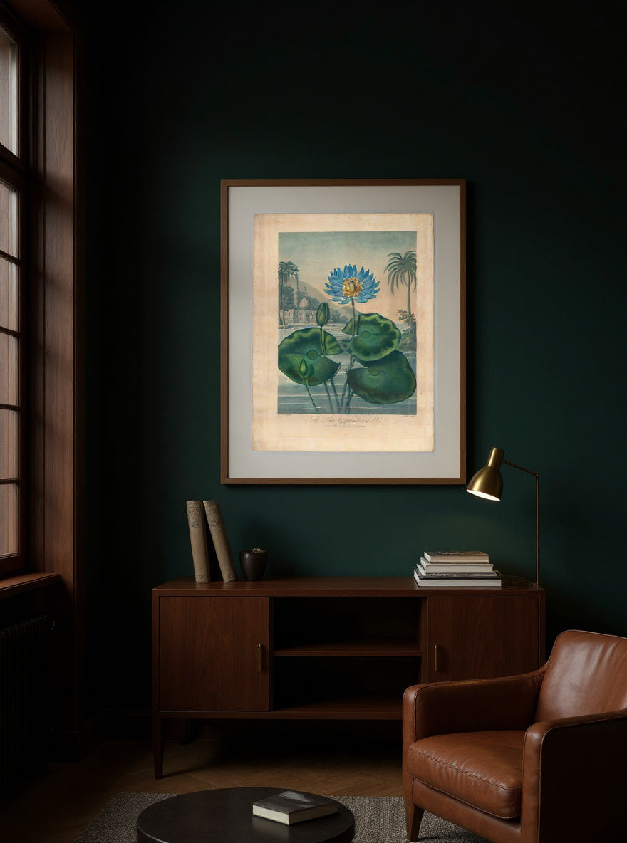 the-blue-egyptian-water-lily in a quiet interior