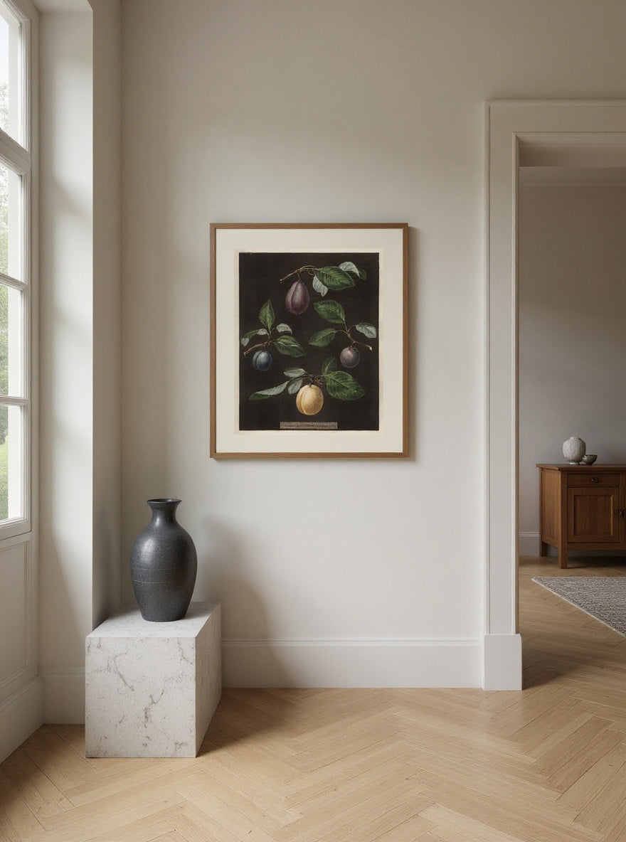 Plums from the Midnight Orchard — in a room