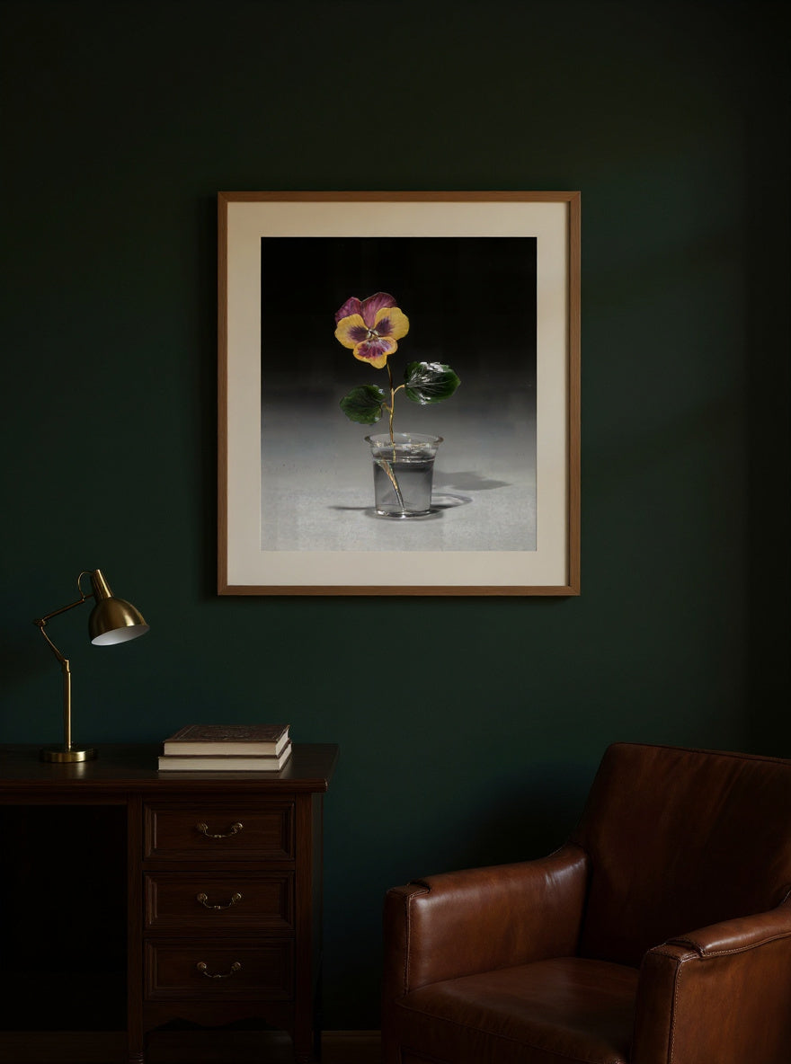 Flower Study of a Pansy — in a room