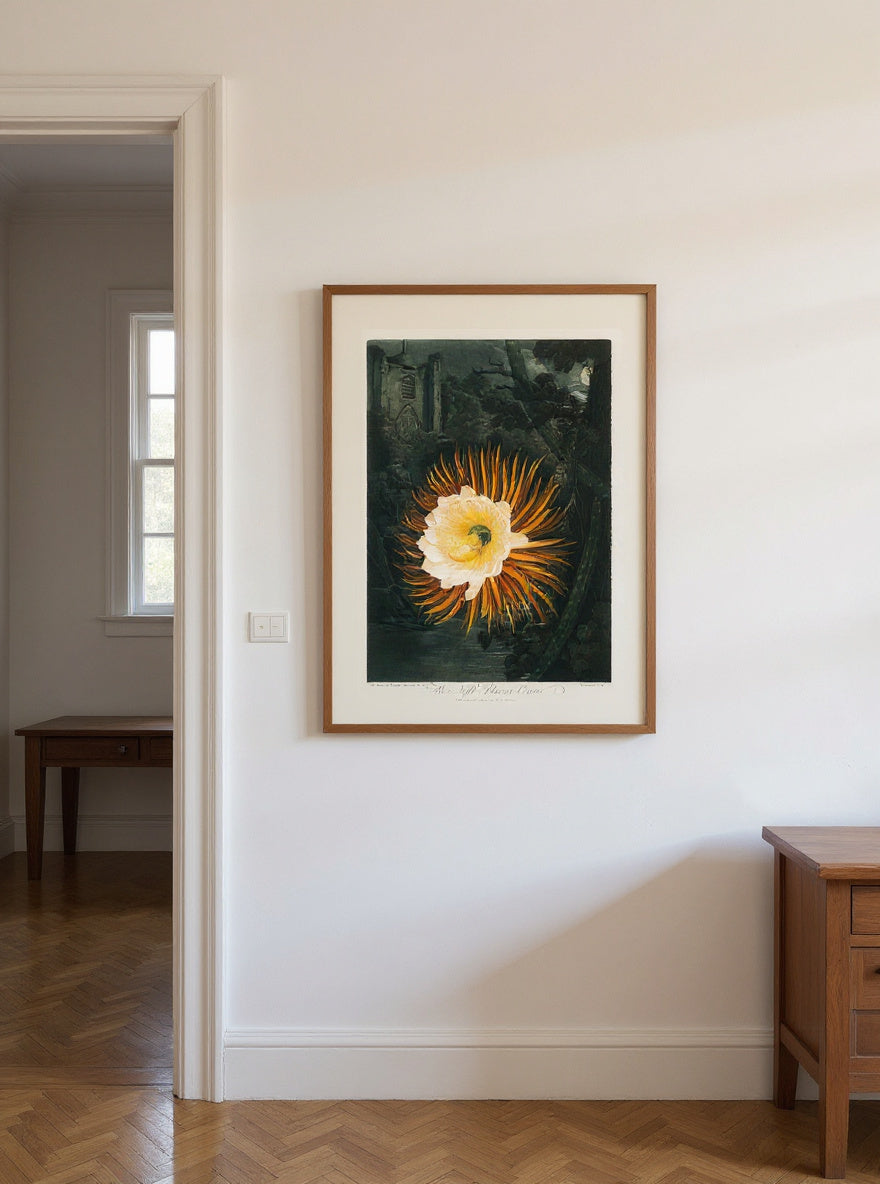 The Night-Blowing Cereus — in a room