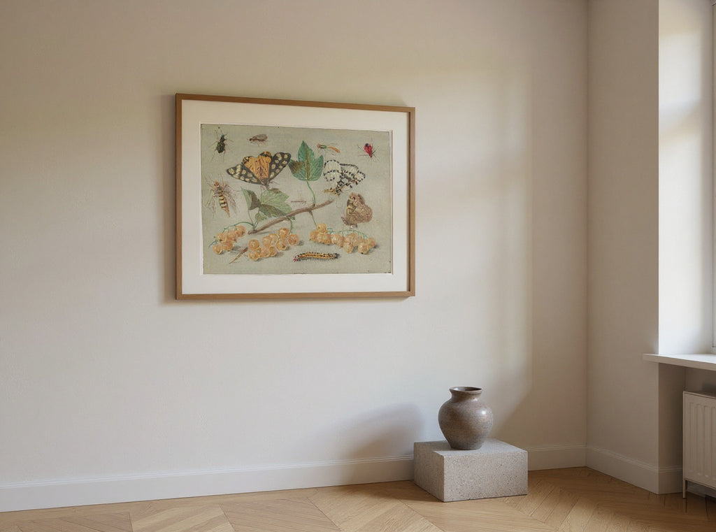 Study of Butterfly and Insects — in a room