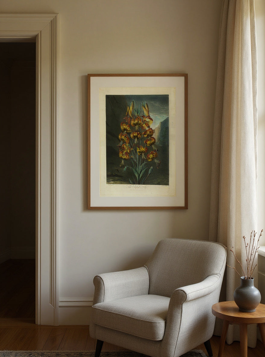The Superb Lily, from The Temple of Flora — in a room