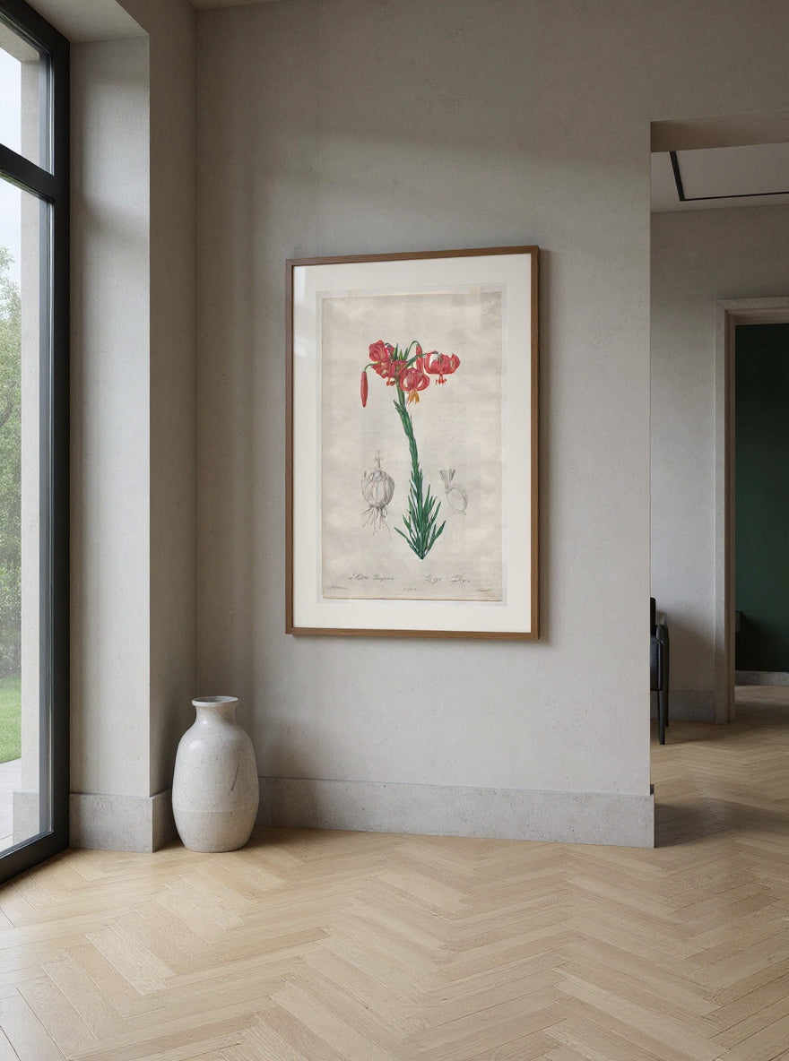 The Turban Lily — in a room