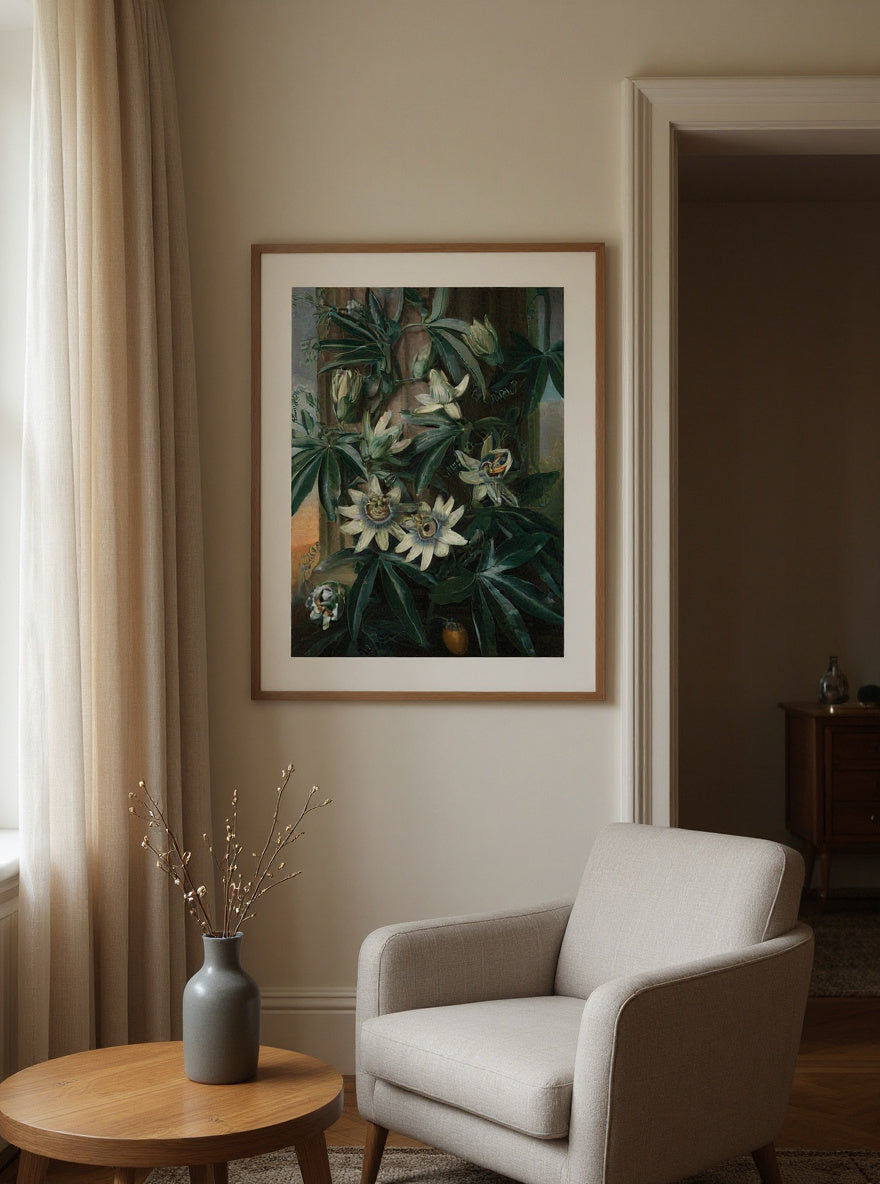 The Blue Passion Flower — in a room