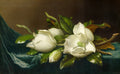 Magnolias on Light Blue Velvet Cloth
