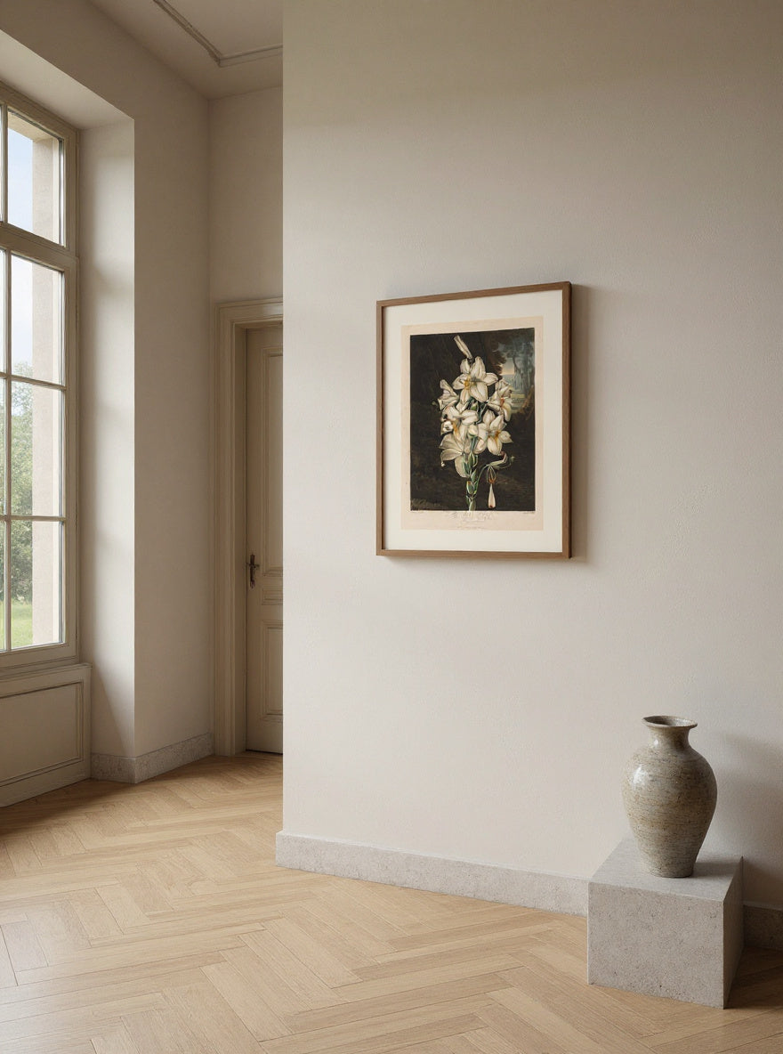 The Temple of Flora, or Garden of Nature: The White Lily with Variegated Leaves — in a room