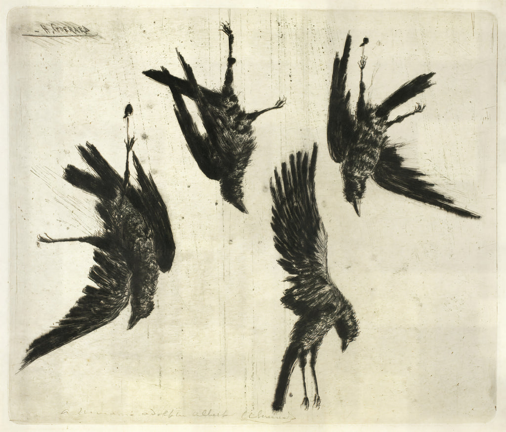 The Four Dead Ravens