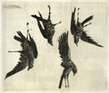 The Four Dead Ravens