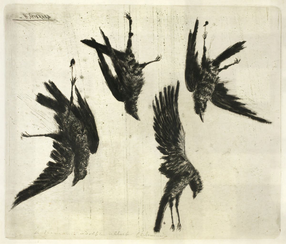 The Four Dead Ravens