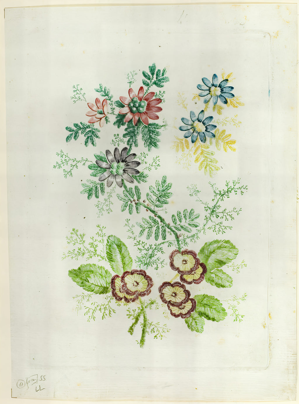 Flowers