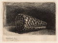 The Shell