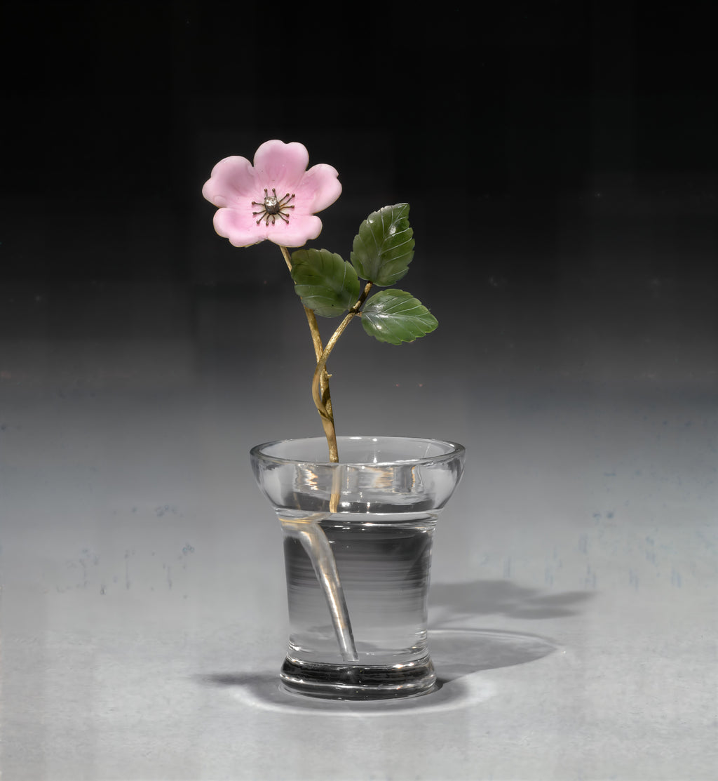 Flower Study of a Wild Rose