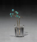 Flower Study of Forget-Me-Nots