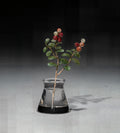 Flower Study of a Lowbush Cranberry or Lingonberry