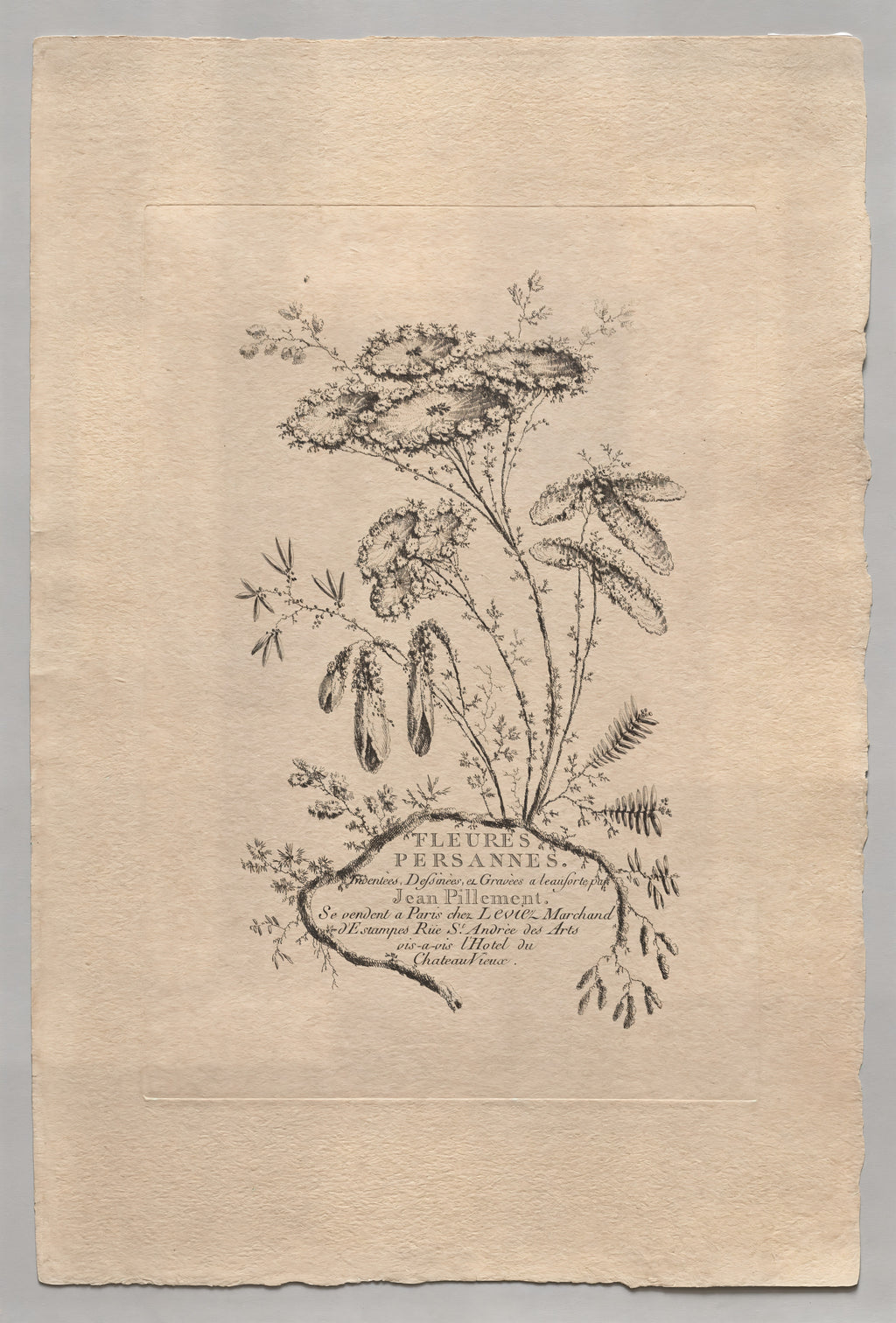 Persian Flowers