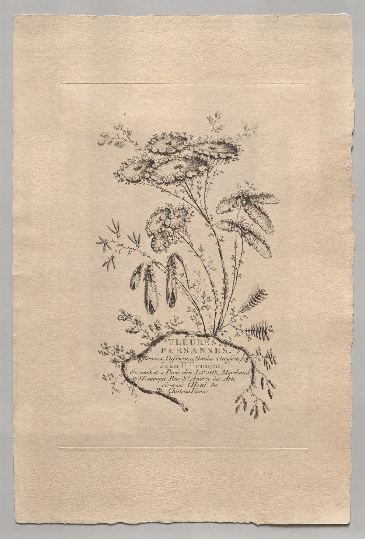 Persian Flowers