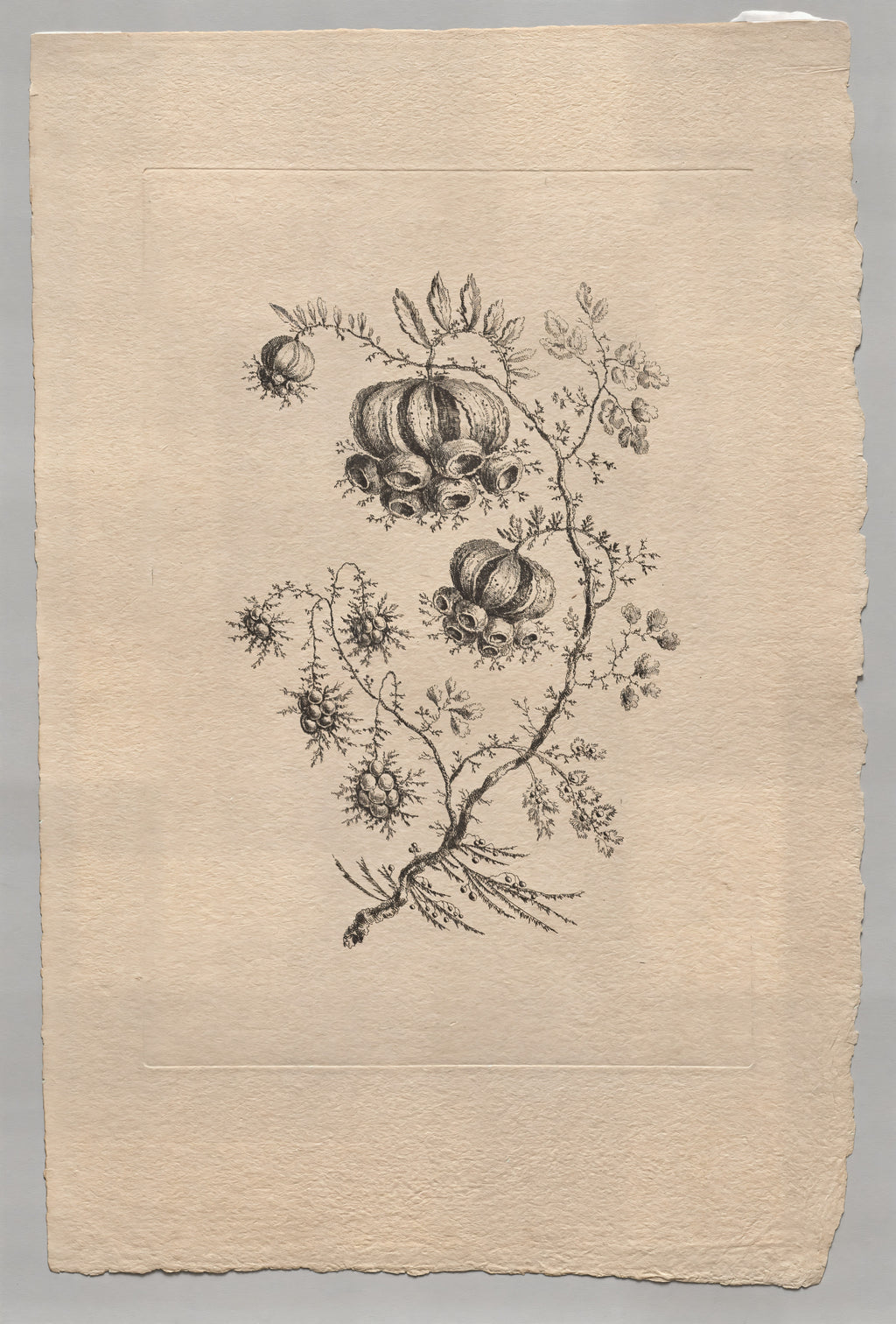 Persian Flowers