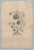Persian Flowers