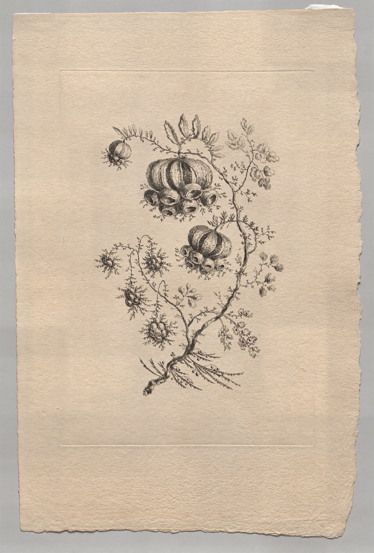 Persian Flowers