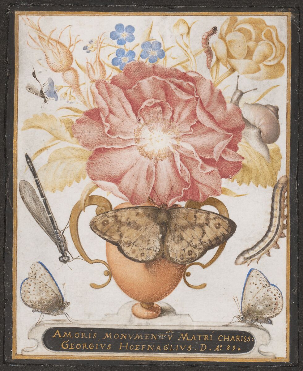 Still Life with Flowers, a Snail and Insects by Joris Hoefnagel, 1589