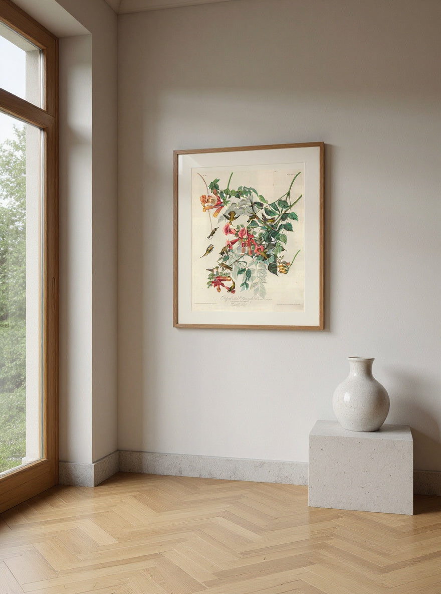 Ruby-throated Humming Bird — in a room