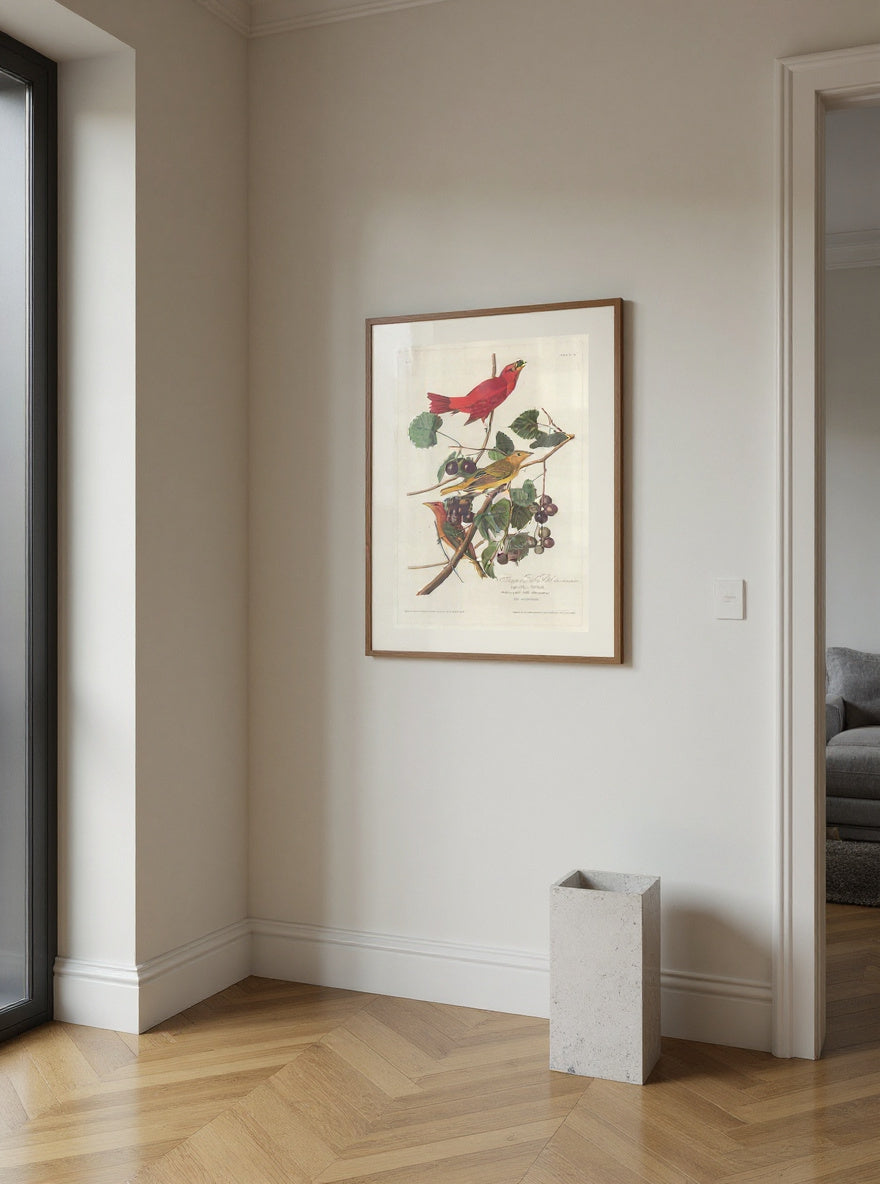 Summer Red Bird — in a room