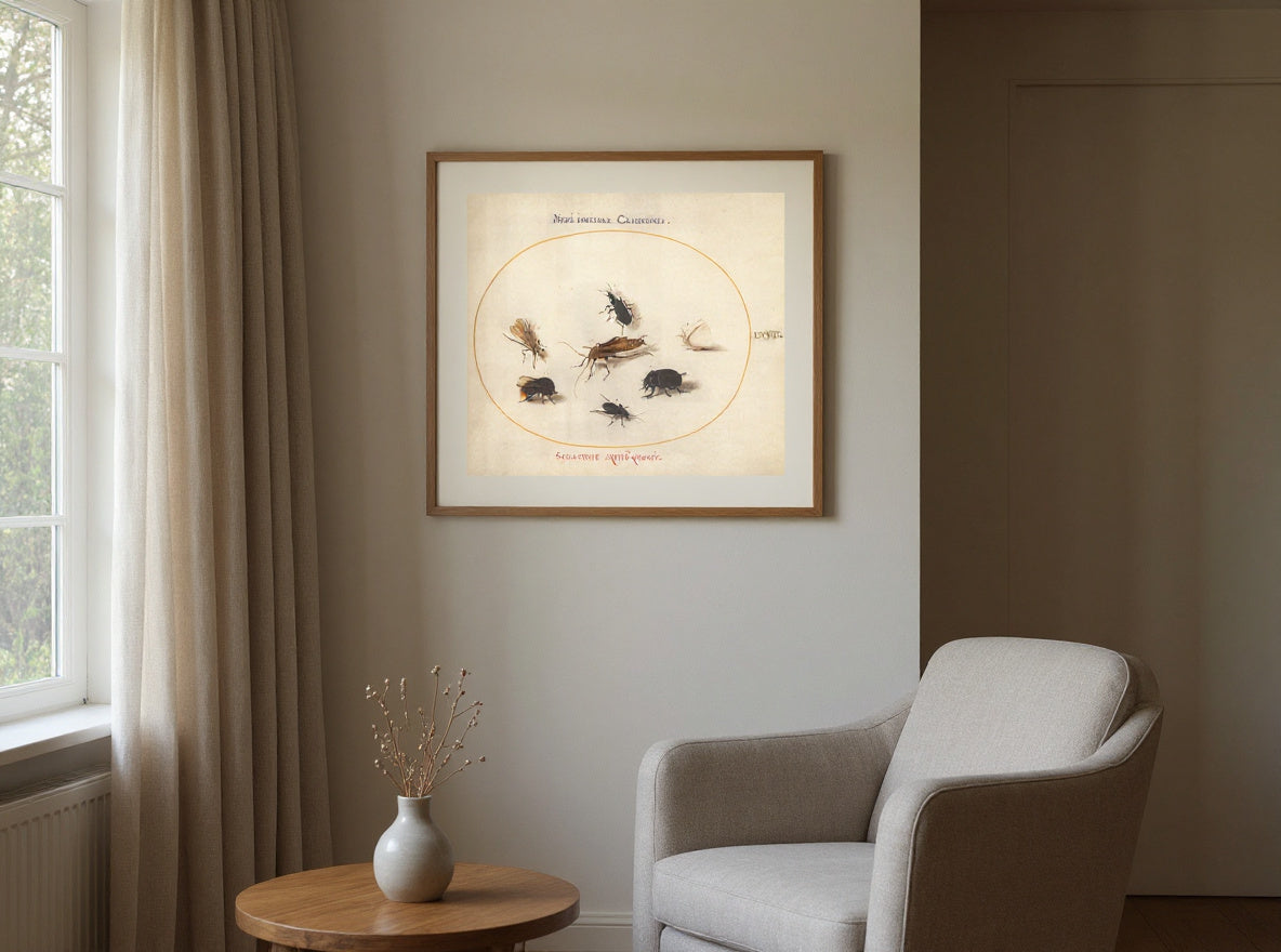 Plate 67: Seven Insects, Including a White Butterfly and a Bee — in a room