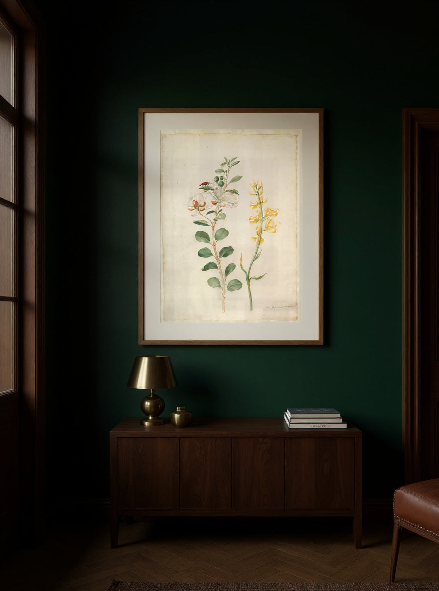 study-of-capers-gorse-and-a-beetle in a quiet interior
