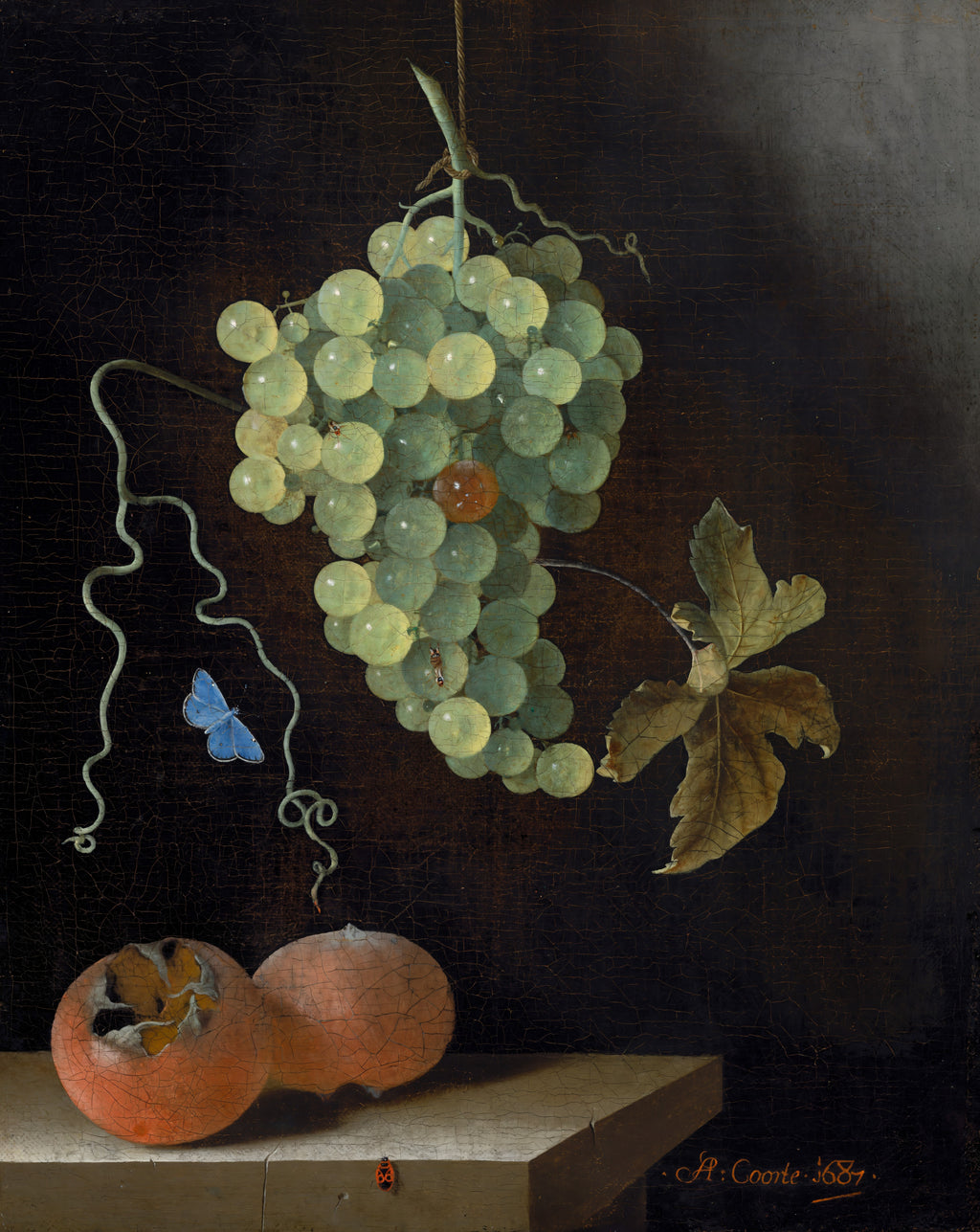 Still Life with a Hanging Bunch of Grapes, Two Medlars, and a Butterfly