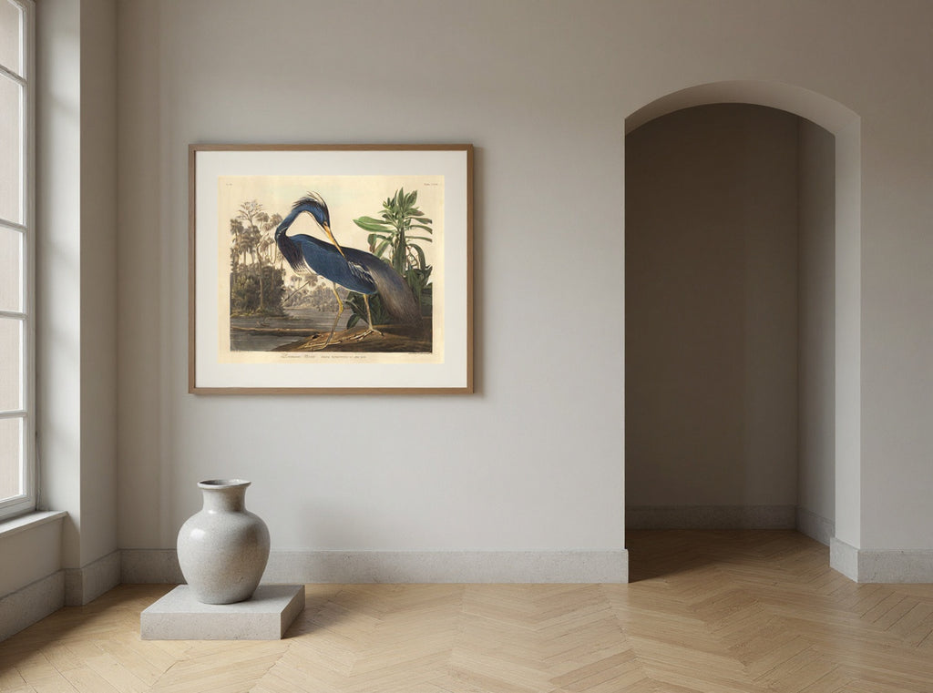 Louisiana Heron — in a room
