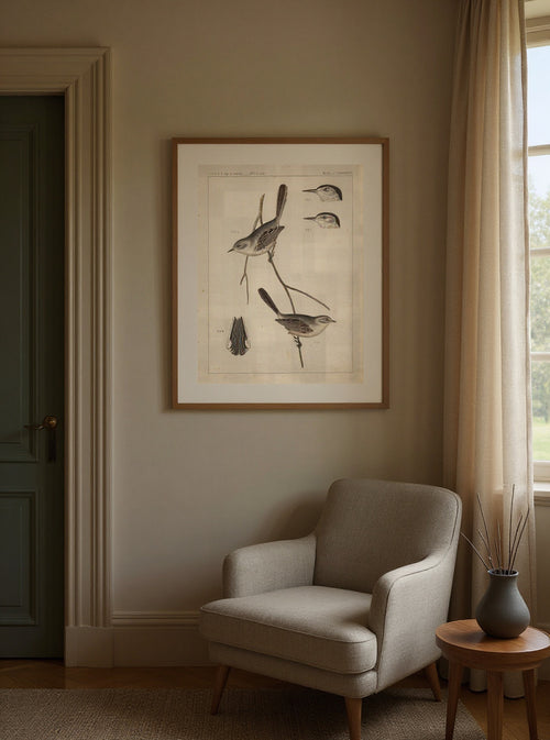Birds - U.S.P.R.R. Exp. & Surveys, 35th Parallel — in a room