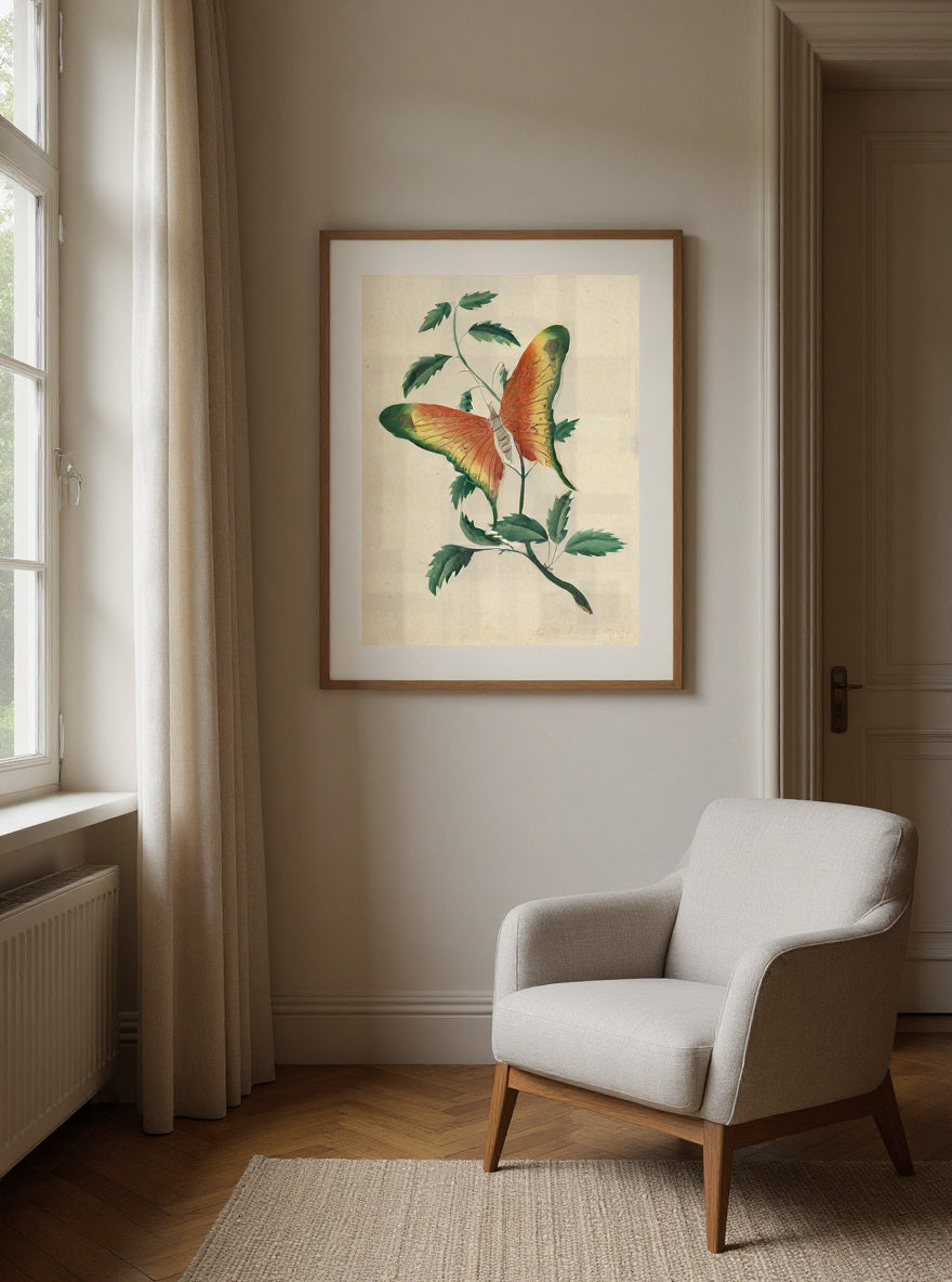 Rose Bush and Butterfly — in a room
