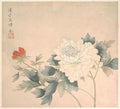 Flower Study by Yun Bing, 17th century